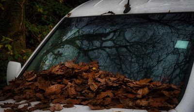 Camouflage