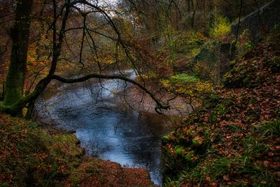 River Taff at Greenfield Bridge, Quakers Yard.