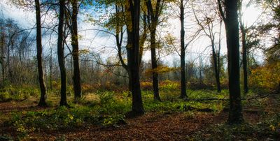 DSC_2643.jpg