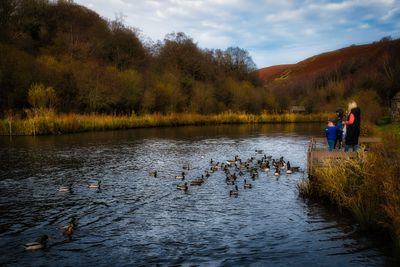 Feeding the ducks.