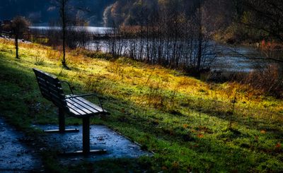 Too wet to sit awhile.