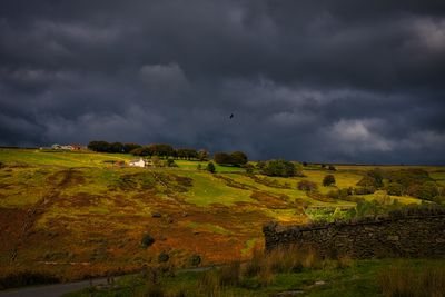 Where ravens dare.