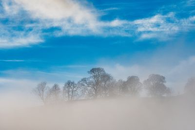 Early morning mist at Penrhiwcaradoc.
