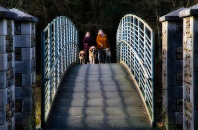 St Bernard's bridge.
