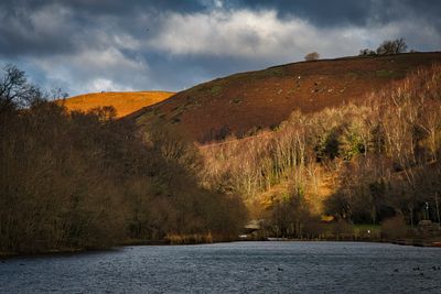 Winter light.