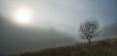 Foggy abstract.