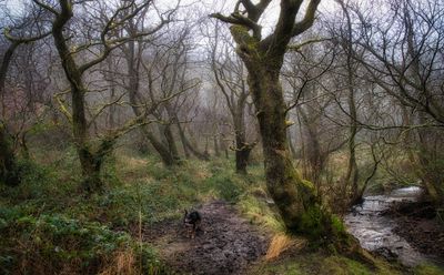 Misty and cold in the glacial cwm.