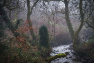 Afon Dar
