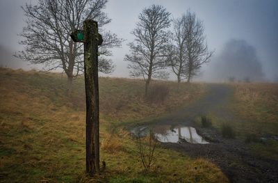 DSC_2952.jpg