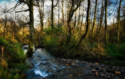 River Dare.