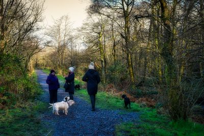 Dog walkers.