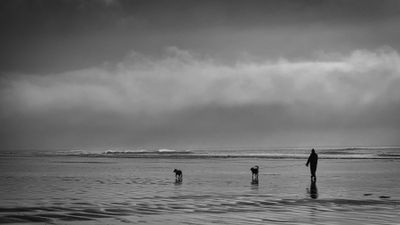 Walking the surf line.
