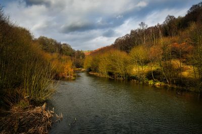 View from the top bridge.