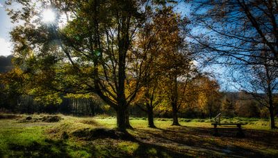 Picnic spot.