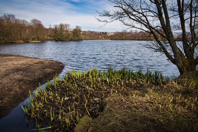 Top lake on a spring morning.