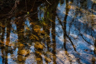 River bed.