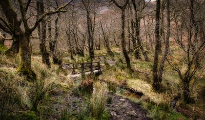 Into the glacial cwm.