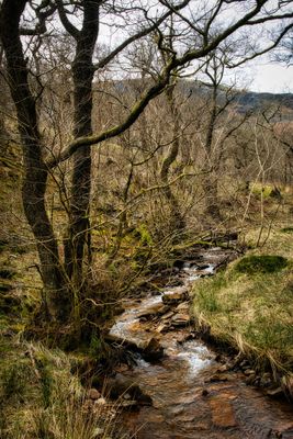 River Dare in the glacial cwm.
