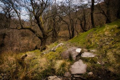 Inside the glacial cwm on an ancient landslide.
