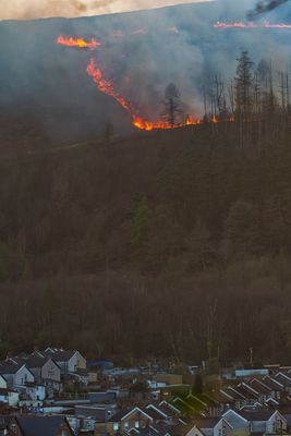 DSC_4140.jpg