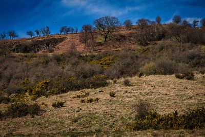 Bwllfa Foel