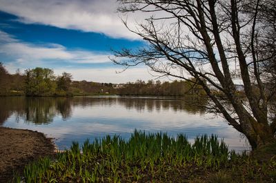 Top lake reflections.