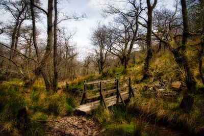 Footbridge in the glacial cwm.