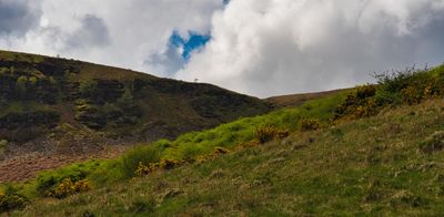 Gorse and The Bwllfa.