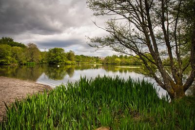 Top lake early May.