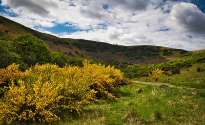 Dare Valley Country Park. A history of coal mining.
