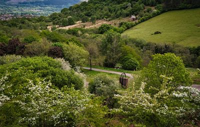 Dare Valley Country Park. A history of coal mining.