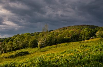 Cynon Valley
