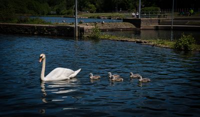 Taf Bargoed Country Park.