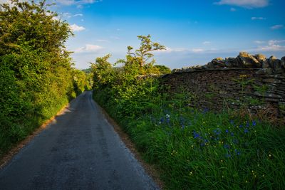 Lane near Penrhiwcaradoc, Mountain Ash.
