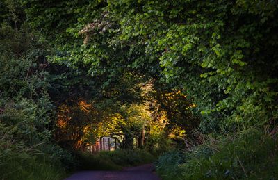 Light in the tunnel.