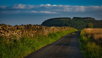 Lane to Gelli-Wrgan.