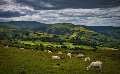South Wales