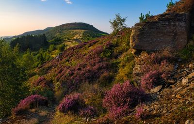 Cynon Valley