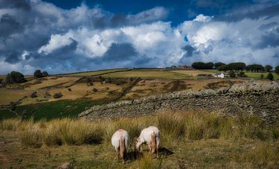 South Wales
