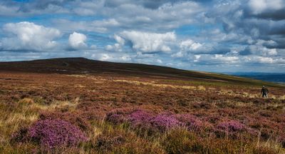 South Wales