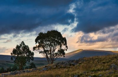Cefn Cadlan and Penderyn