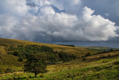 Blaen Llia