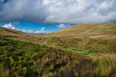 Blaen Llia