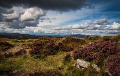 Blorenge Mountain.