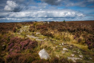Blorenge Mountain.