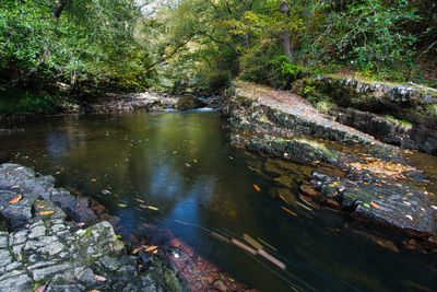 Afon Nedd Fechan, Pontneddfechan.