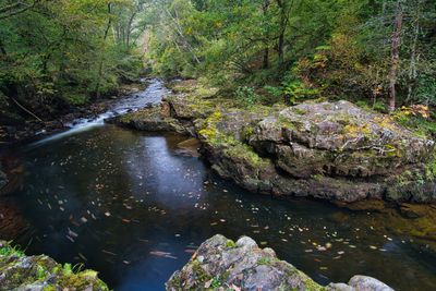 Afon Nedd Fechan, Pontneddfechan.