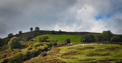 Cynon Valley