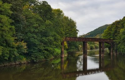 Penallt Viaduct across the River Wye.