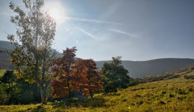 Autumn sun.